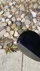 Bild 11 von 23