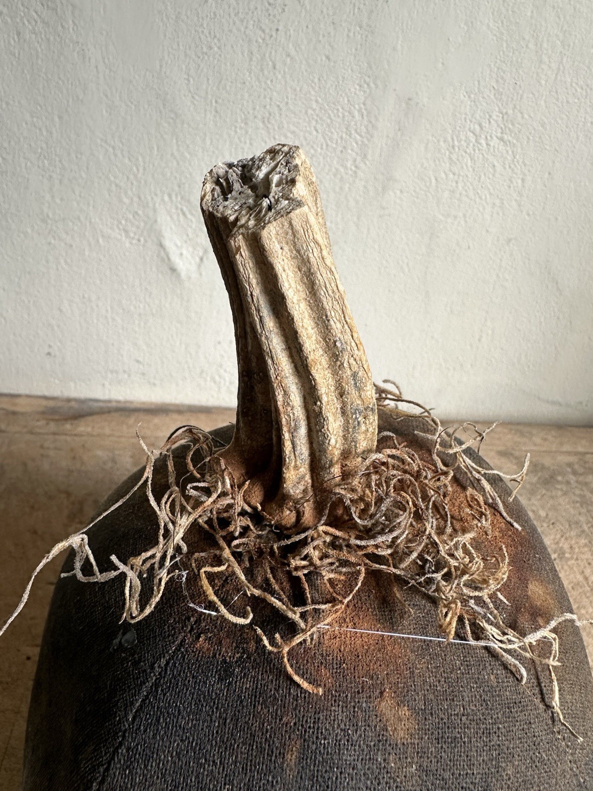 Picture 6 of 12