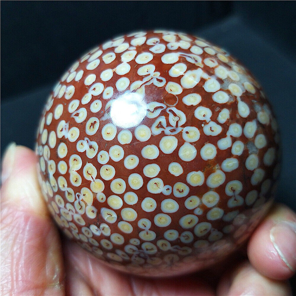 Rare 443.6G Natural Polished Coral Jade Agate Crystal Sphere Ball Healing  CB316