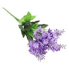 Bild 9 von 43