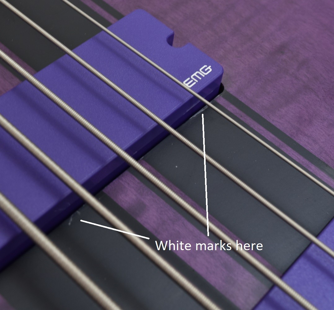 Schecter 5-String C-5 GT Bass Satin Trans Purple (STP) #1533 for