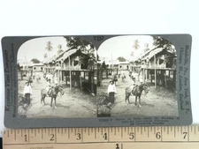 Keystone Stereoview T252 La Clementina Ecuador Cacao Plantation Homes