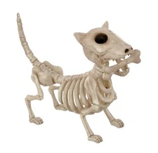 Digger The Skeleton Dog