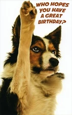 Cute BIRTHDAY Card — Border Collie Dog Raising Paw by Stockwell Greetings +✉
