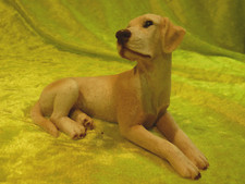 Labrador  Castagna 1989, Italy,  8,5 cm