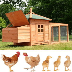 Chicken-Coop-Wooden-House-Hen-Duck-Waterproof-Small-Animal-Outdoor-Garden-Cage