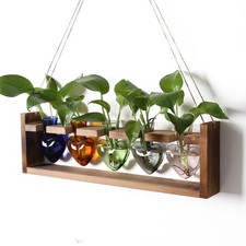 Hanging Propagation Station for Air Plants Heart Glass Terrarium Holder