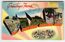 Vintage Greetings from Dixie Cotton Field Letter Postcard 1952 Spartanburg SC
