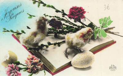 c1910  Fantasy Chicks Book Hatched Egg Flower Hand Tinted Easter P62 M