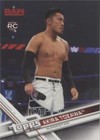 2017 Topps WWE Then Now Forever - Akira Tozawa #104