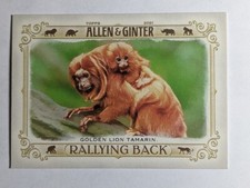2021 Topps Allen & Ginter #RB-8 GOLDEN LION TAMARIN Rallying Back