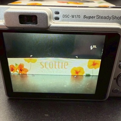 Sony Cyber-shot DSC-W170 10.1MP Digital Camera - Silver (DSC