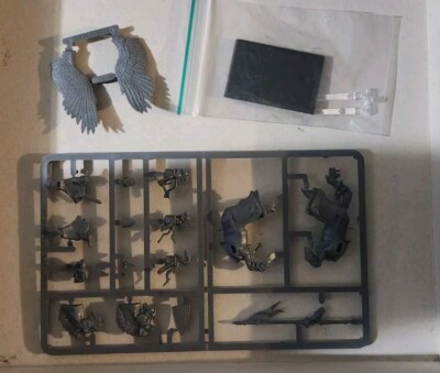 KINGDOM OF BRETONNIA: PEGASUS KNIGHT Single Model, New Unpainted On Sprue AoS OW