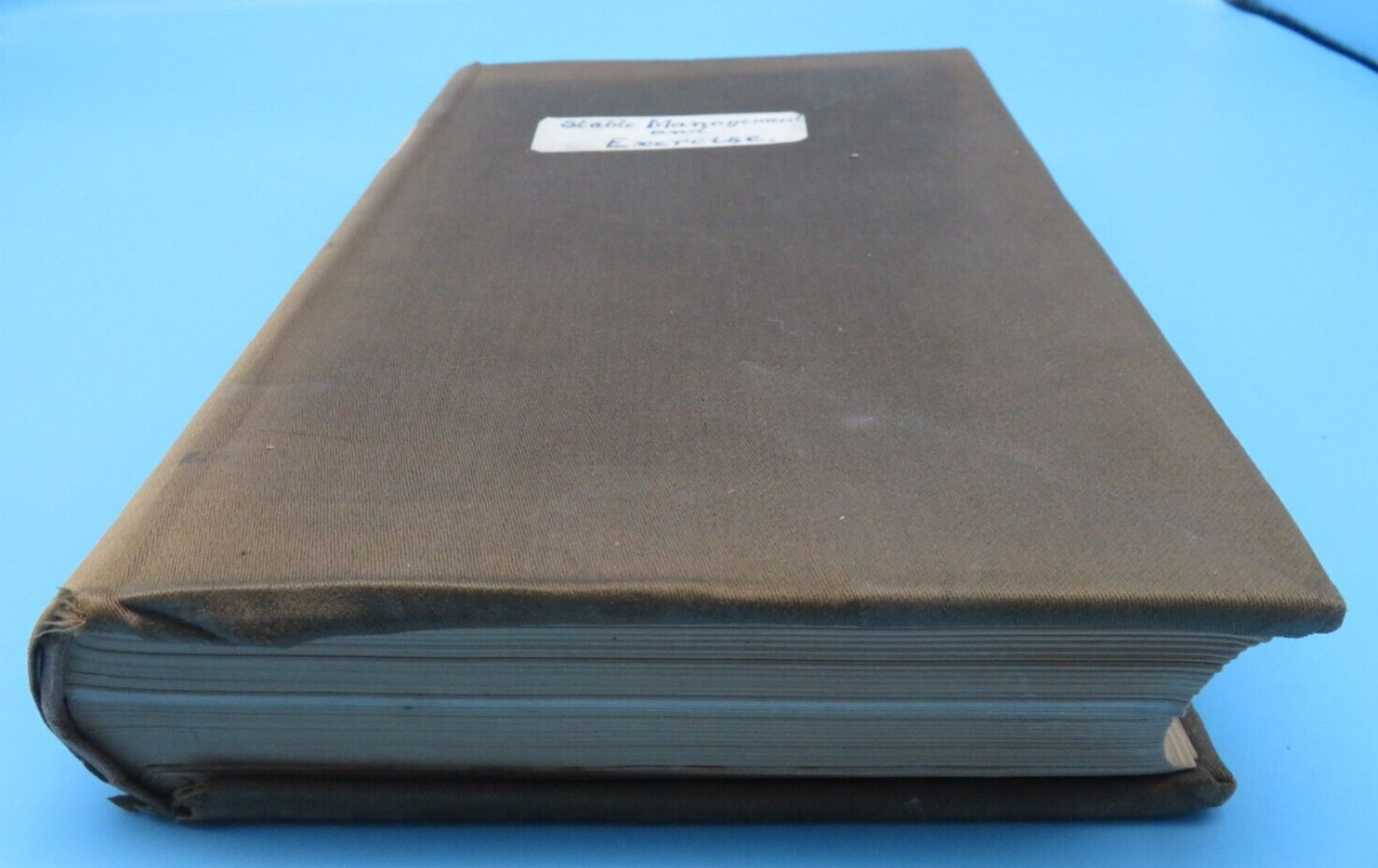 Stable Management And Exercise M Horace Hayes HB 2nd Ed 1909 Hurst And Blackett