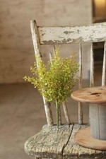 14" LT GREEN PEPPERGRASS BABY GRASS PICK ARTIFICIAL GREENERY ARRANGEMENT FLORAL