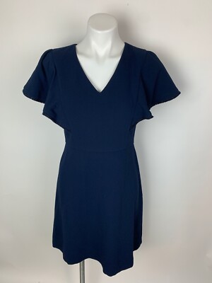 Ann Taylor Loft Navy Blue Flutter Fringe Sleeve Aline Fit Flare Dress