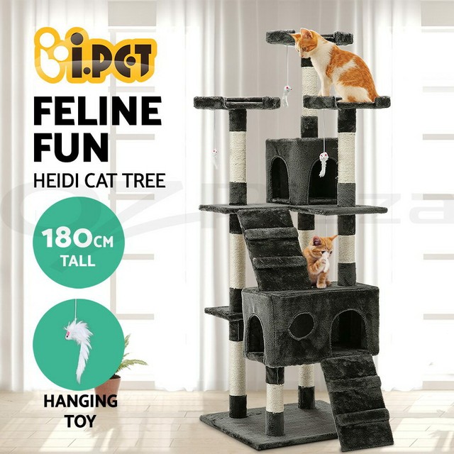 crossbreed german shepherd and husky