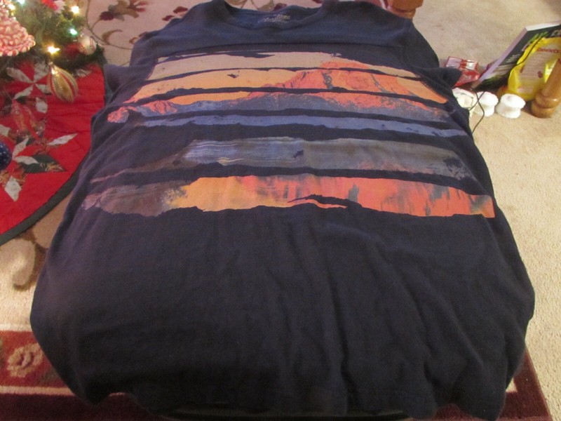 American Eagle Outfitters Men's Blue Heritage Classic Fit Thermal - Size Large 