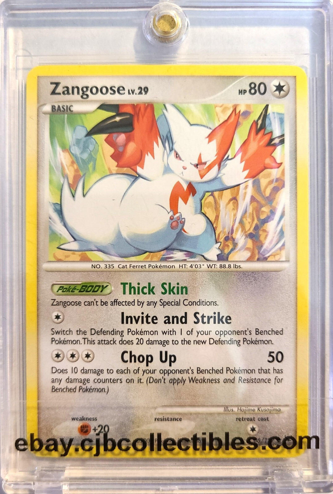 Pokémon ZANGOOSE 66/127 Platinum - Light Play 🍒