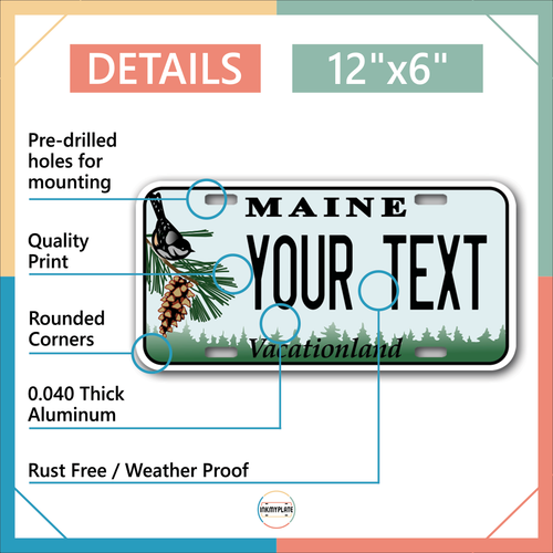 Custom state License Plates with personalized text Car 12x6- Moto 7x4 - Bike 6x3 - Picture 225 of 570