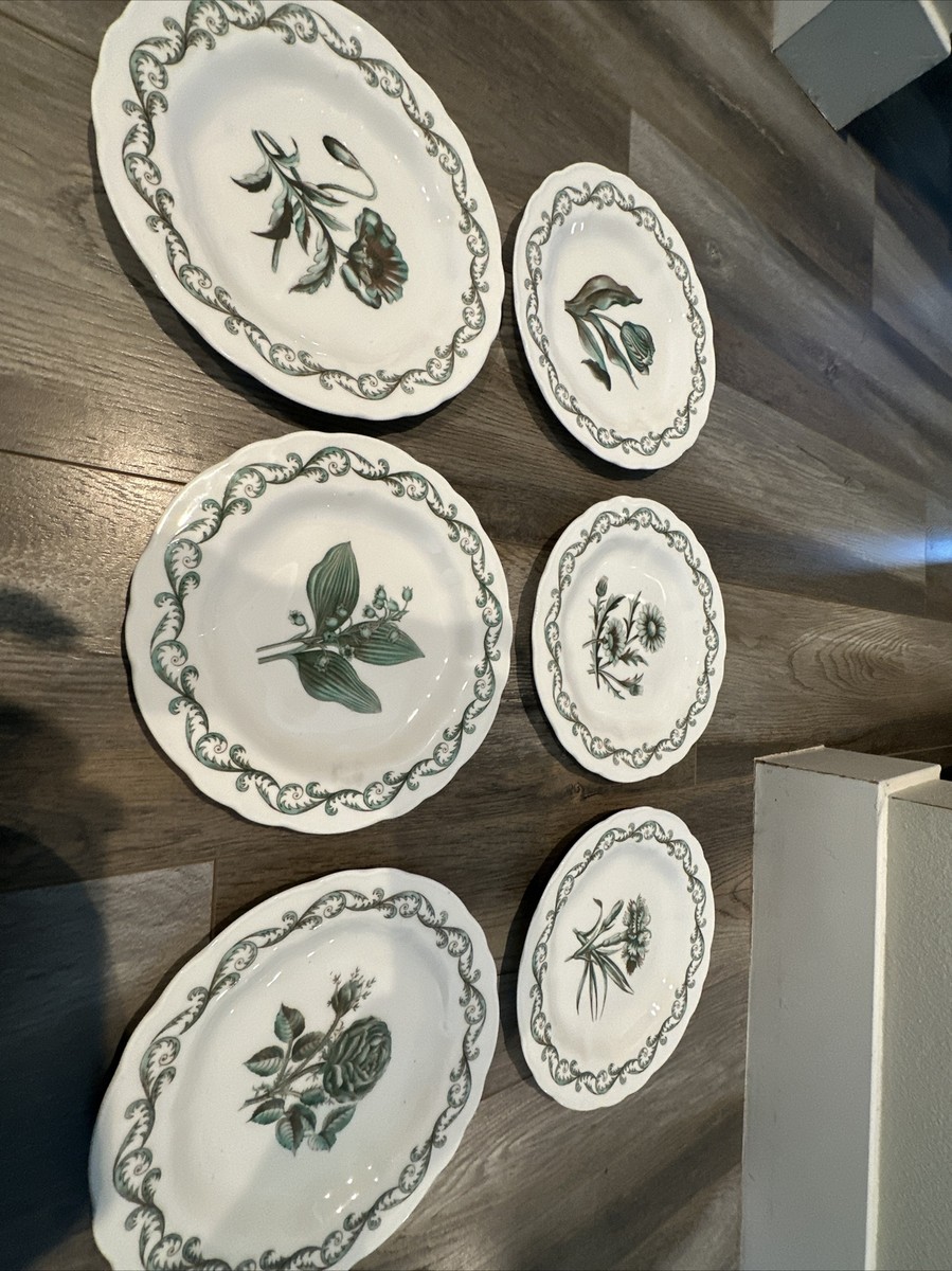 Vintage Royal Worcester Williamson Enameled Porcelain Botanical