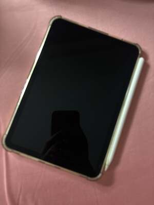 Apple iPad mini 6. Gen 64GB, Wi-Fi, 8,3 Zoll - Rosé