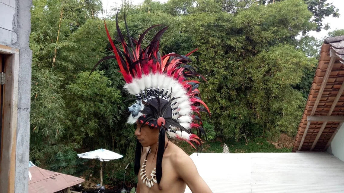 Indian hat, native american headdress, wolf skull headdress, cherokee  indian | eBay