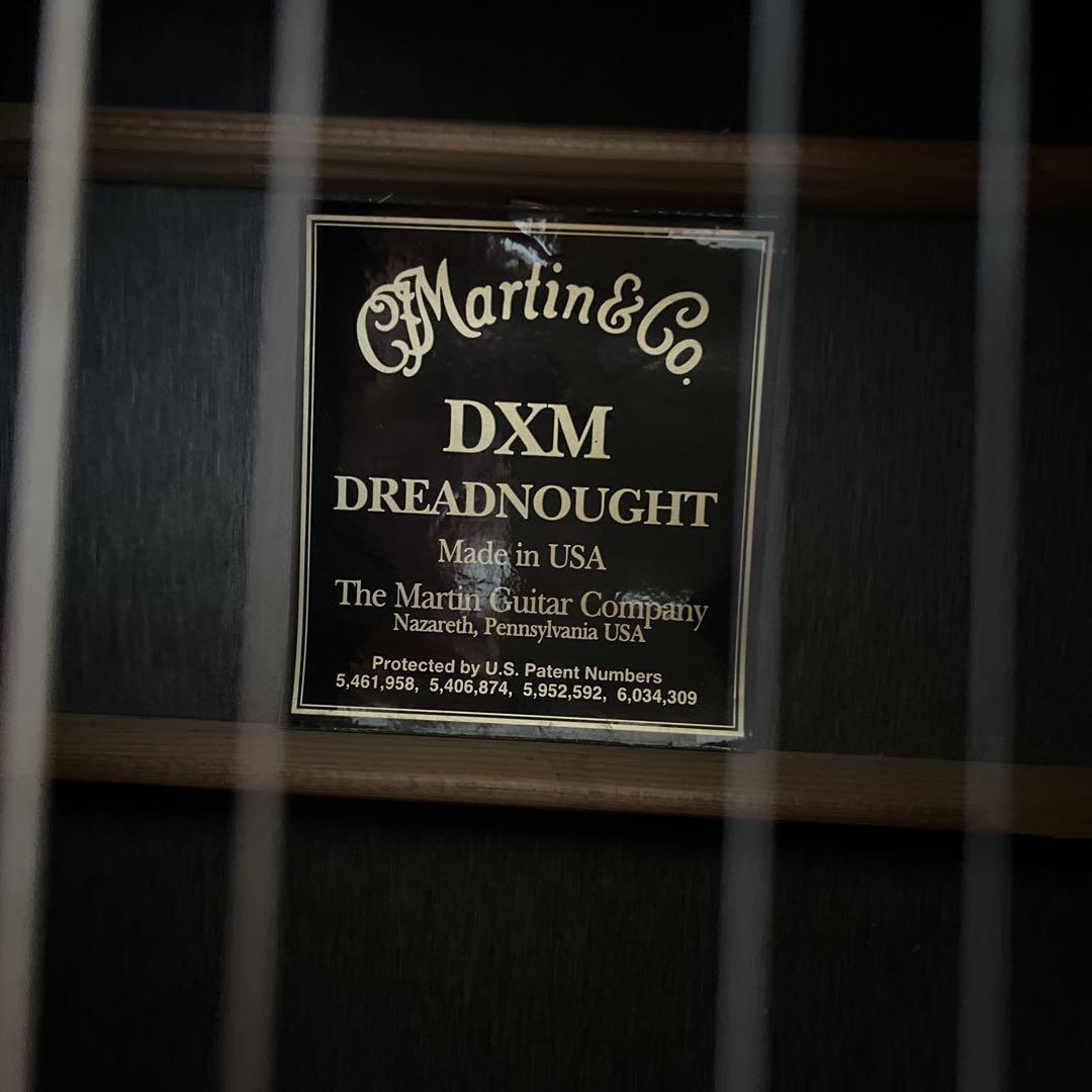 アコースティックギター Martin & Co. DXM Dreadnought 1_Full_Straight_Front_50489-