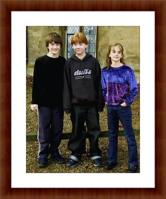 Emma Watson, Daniel Radcliffe, Rupert Grint 8.5 x 11 Unframed Photograph