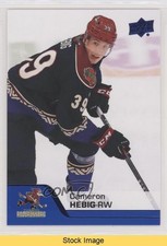 2020-21 Upper Deck AHL Blue Cameron Hebig #135 READ 0h9s