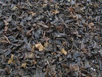(70,40Eur/Kg) Loser Premium Tee - Entkoffeinierter Tee (250G)