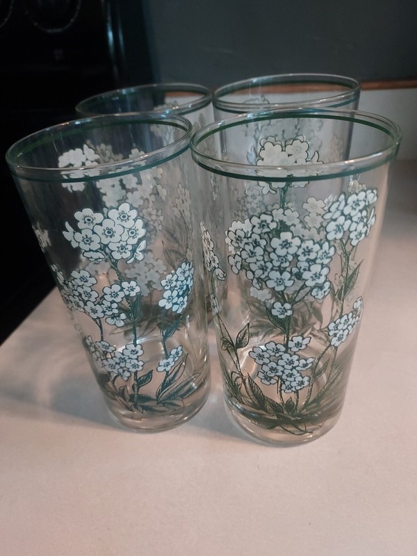 Four Forget Me Not Flower Drinking Glasses Tumblers 5 1/2" Mountain Green Norita