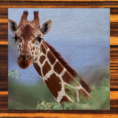 Giraffe - Washcloths NEW Collectors Set of 6