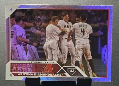 2023 Topps #263 DIAMONDBACKS Team card Foil baseball card NM/MT