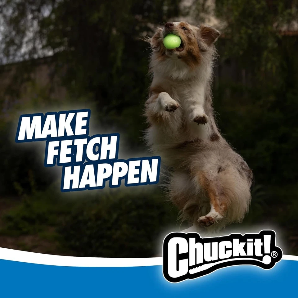 Chuckit Glow in the Dark Bouncy Ball for Dogs, Chuckit Dog Toy, Max Glow Ball... - Image 2 of 4