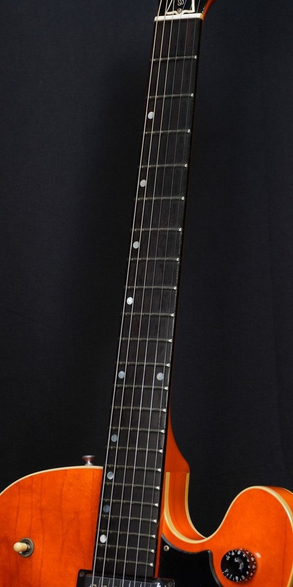 ギター Gibson Chet Atkins Tennessean 1994 Gibson Chet Atkins Tennessean Thinline Archtop Guitar