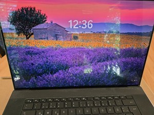 Dell XPS 17 9720 DEFECT – Ersatzteile– RTX 3060 4K Touch – ohne RAM/SSD/Netzteil
