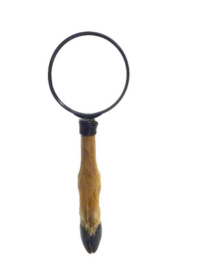 WHITETAIL DEER HOOF 3.5'' MAGNIFYING GLASS  (SHIP USA ONLY)