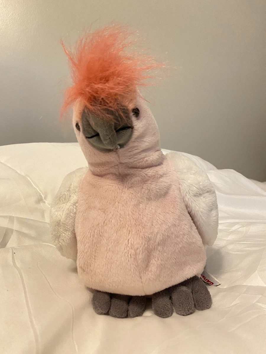 Webkinz 2024 pink cockatoo