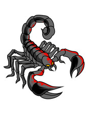 4 adesivi auto 18 x 18 adesivi scorpione animali sticker