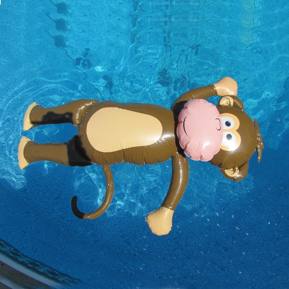 Giant Inflatable Monkey Swim Pool Water Float Blow Up Party Toy Animal Floaties