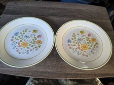 CORELLE MEADOW PATTERN 10.25 INCH DINNER PLATES x2 GOOD USED FREE USA SHIP READ 
