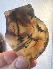 Cool Old Stock Montana Moss Agate Slab B Grandpa&rsquo;s collection 1960&rsquo;s