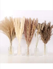 N&T NETING  Pampas Grass Decor, White Grass, Brown 