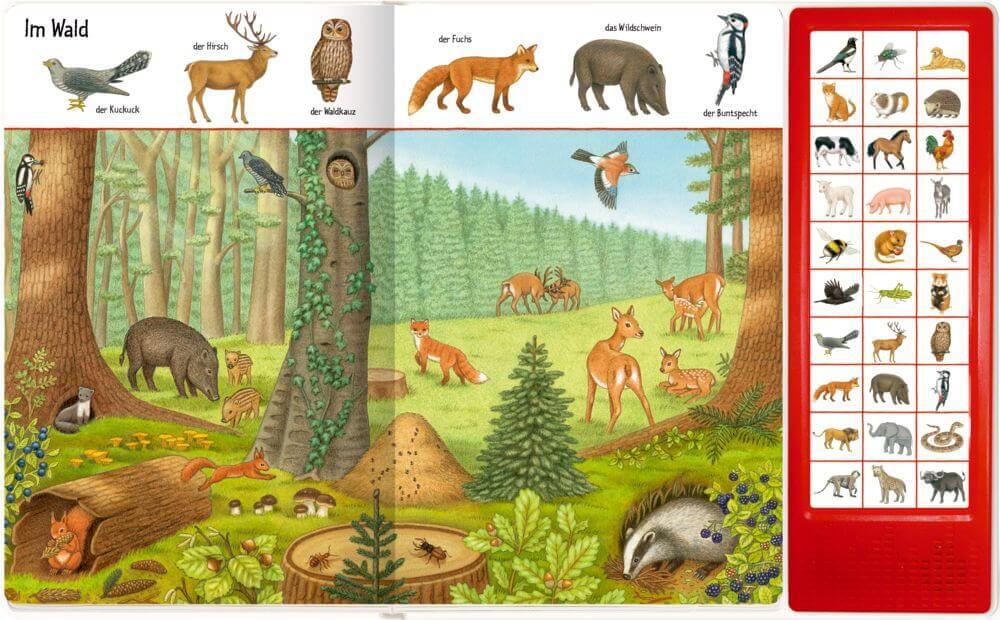 Thumbnail - Bilder Suchen-wörter Finden: So Viele Tierstimmen (soundbuch)