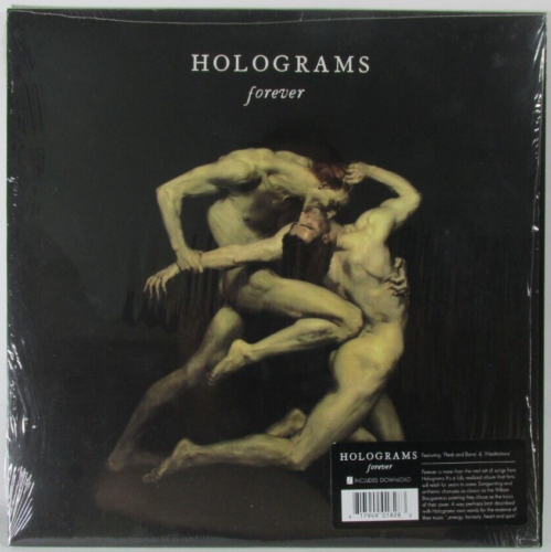 Holograms - Lp - Forever - Indie Rock Post Punk Captured Tracks 2013 - Picture 1 of 2