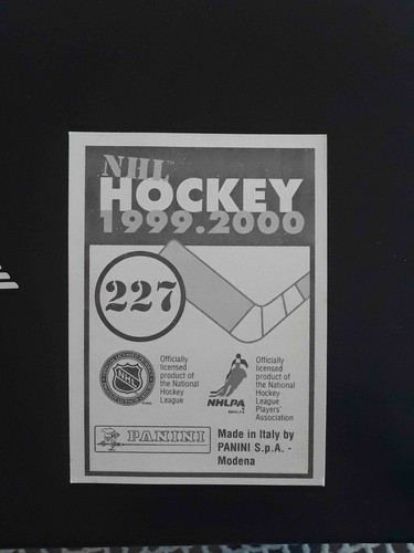 Panini NHL Hockey 1999 2000 99 00 ELIGE CUALQUIER PEGATINA CASI NUEVA/COMO NUEVA #201-360# - Imagen 51 de 297