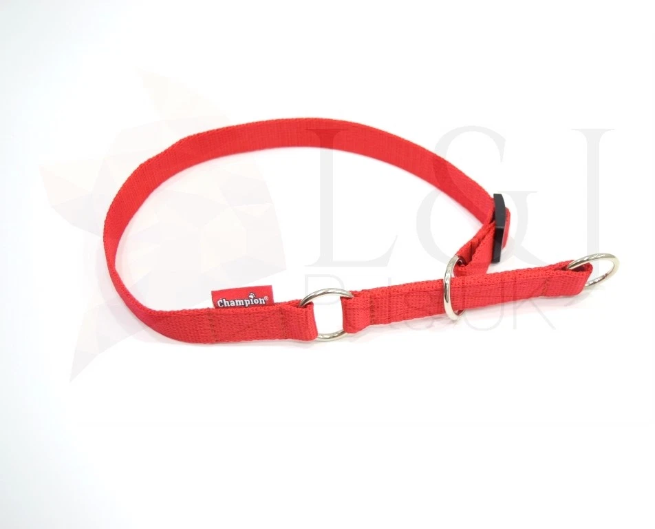 Adjustable half check dog cheap collar