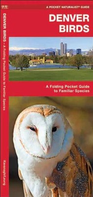 Denver Birds: An Introduction to Familiar Species (US City Nature Guides)
