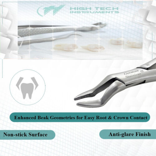 New Dental Extracting Forceps Oral Surgery Tooth Extractions Dental Instruments - Picture 18 of 57